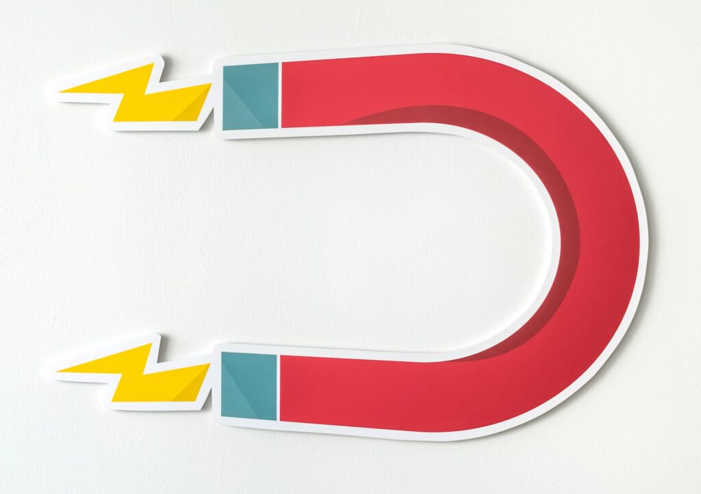 le lead magnet